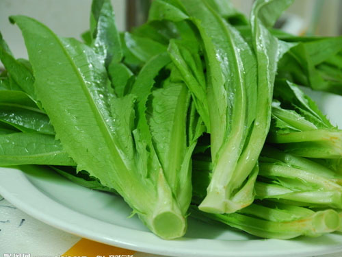 油麥菜蔬菜配送 油麥菜蔬菜配送